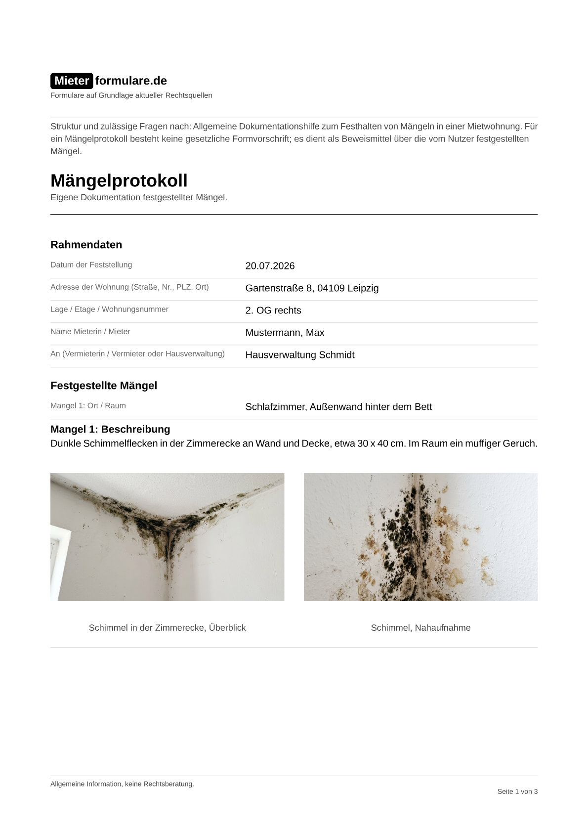 Musteransicht eines ausgefüllten Mängelprotokolls mit Beispielfotos