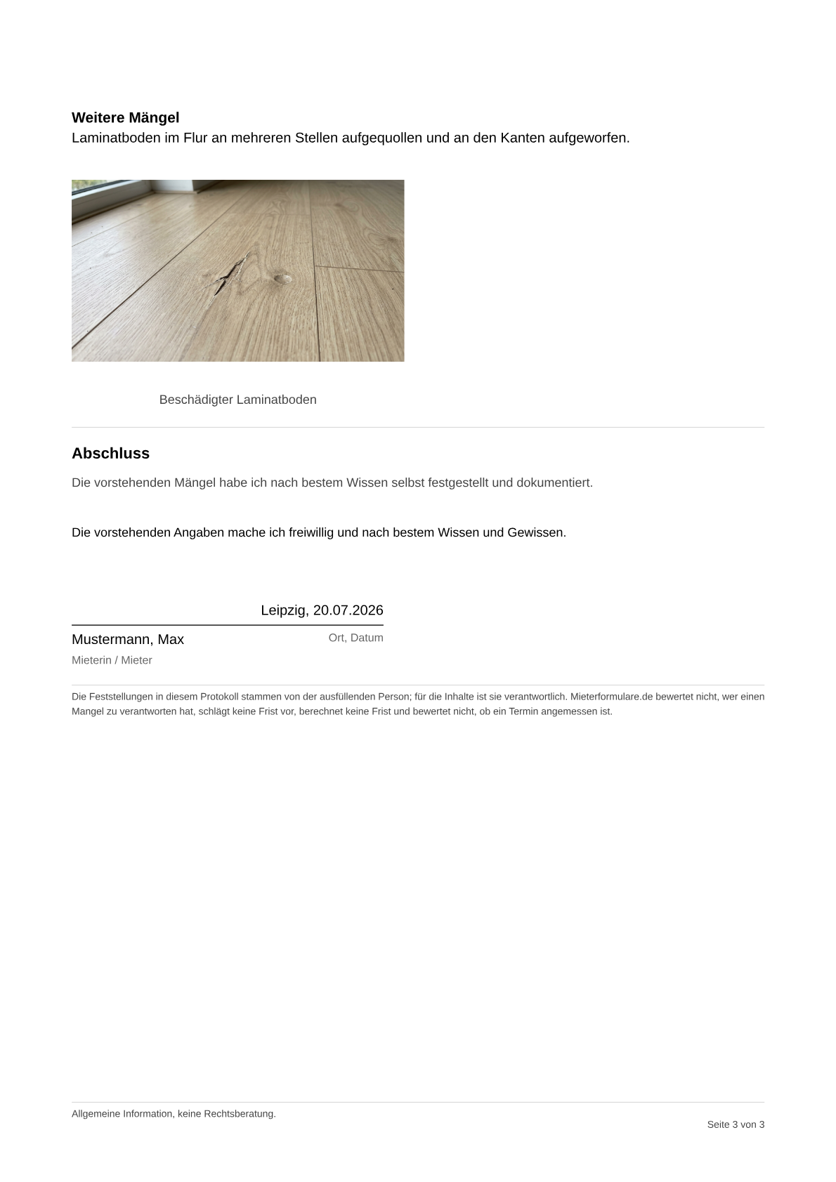 Musteransicht eines ausgefüllten Mängelprotokolls mit Beispielfotos